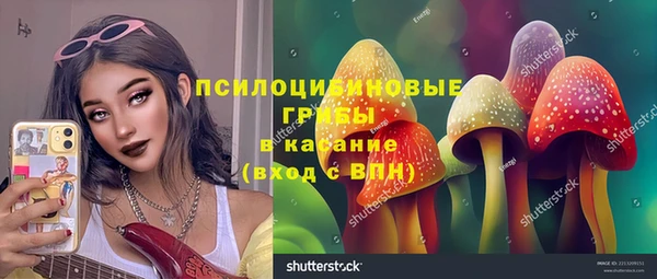 MESCALINE Коряжма